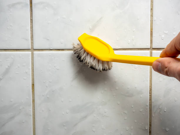 Best Emergency Mold Removal  in Lemmon Valley, NV