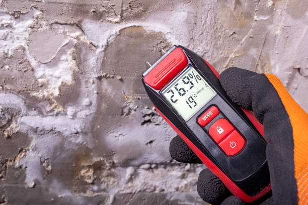 Best Local Mold Removal Service  in Lemmon Valley, NV