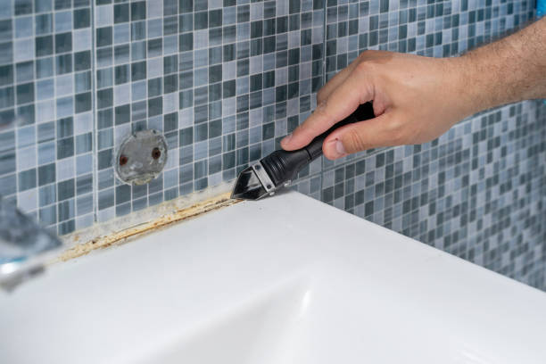Best Mold Remediation  in Lemmon Valley, NV